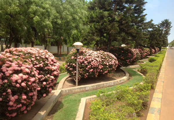 chennai gardening, chennai landscape architects, landscape in chennai, landscaping in chennai, landscape designers in chennai, 